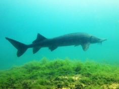 3458481