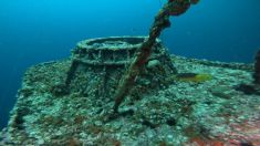 4275018