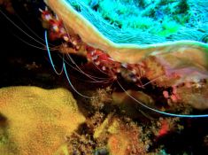 1373377