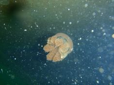 352410