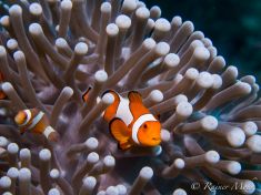 1752179