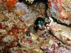 45819