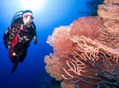 639174
