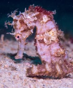 763720
