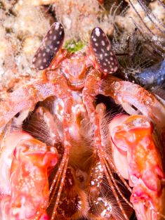 763731