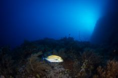 1285639