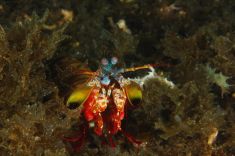 293954
