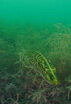 373589