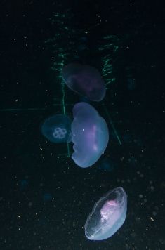 436348