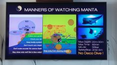 1530516