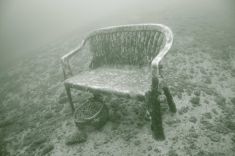 176205