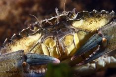 195423