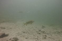 2535254