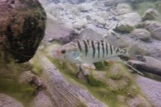 2553040