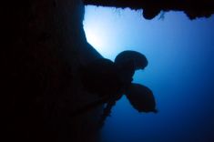 1485490