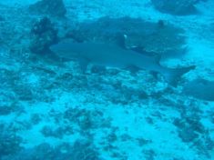91050
